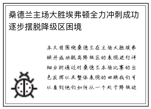 桑德兰主场大胜埃弗顿全力冲刺成功逐步摆脱降级区困境